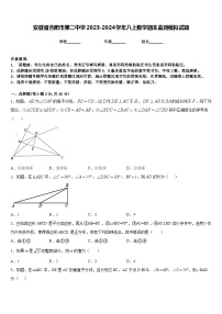 安徽省合肥市第二中学2023-2024学年八上数学期末监测模拟试题含答案