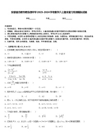 安徽省合肥市肥东四中学2023-2024学年数学八上期末复习检测模拟试题含答案