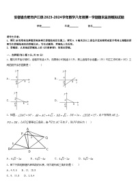 安徽省合肥市庐江县2023-2024学年数学八年级第一学期期末监测模拟试题含答案