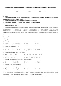 安徽省合肥市瑶海区九级2023-2024学年八年级数学第一学期期末质量检测试题含答案