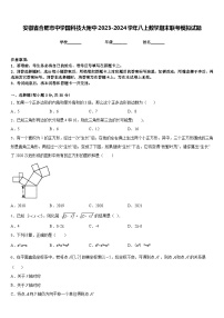 安徽省合肥市中学国科技大附中2023-2024学年八上数学期末联考模拟试题含答案