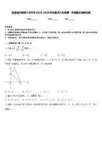 安徽省合肥四十五中学2023-2024学年数学八年级第一学期期末调研试题含答案