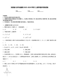 安徽省六安市金寨县2023-2024学年八上数学期末检测试题含答案