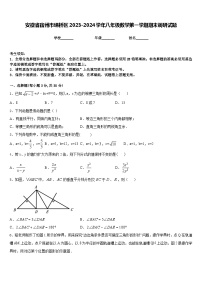 安徽省宿州市埇桥区2023-2024学年八年级数学第一学期期末调研试题含答案