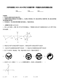 天津市西青区2023-2024学年八年级数学第一学期期末达标检测模拟试题含答案