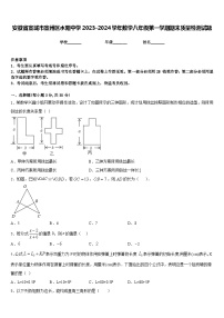 安徽省宣城市宣州区水阳中学2023-2024学年数学八年级第一学期期末质量检测试题含答案