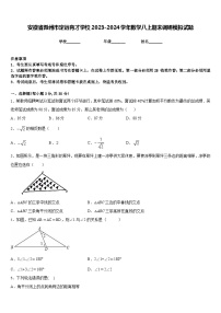 安徽省滁州市定远育才学校2023-2024学年数学八上期末调研模拟试题含答案