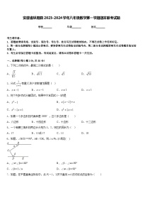 安徽省枞阳县2023-2024学年八年级数学第一学期期末联考试题含答案