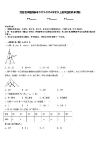 安徽省枞阳县联考2023-2024学年八上数学期末统考试题含答案