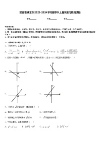 安徽省淮北市2023-2024学年数学八上期末复习检测试题含答案