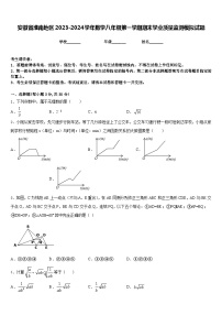 安徽省淮南地区2023-2024学年数学八年级第一学期期末学业质量监测模拟试题含答案