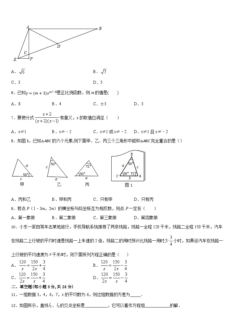 安徽省舒城县联考2023-2024学年数学八上期末考试模拟试题含答案02