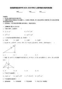 安徽省桐城实验中学2023-2024学年八上数学期末质量检测试题含答案