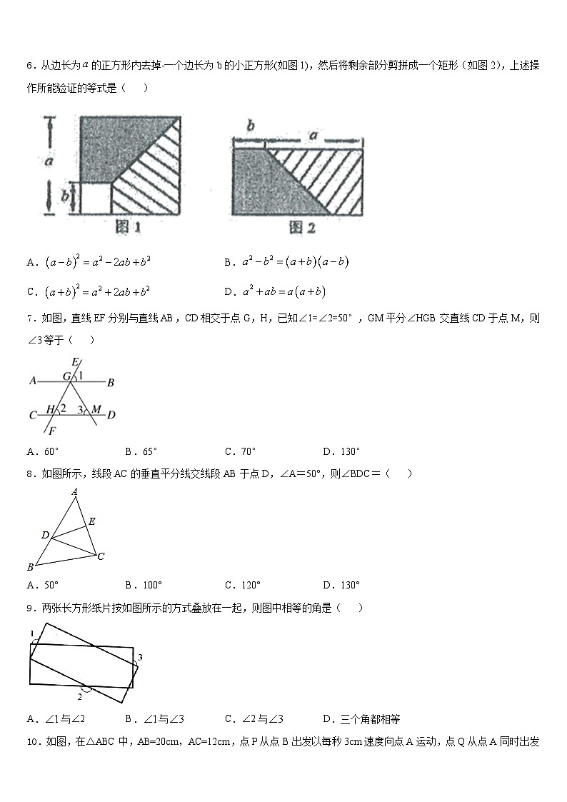 安徽省桐城市2023-2024学年数学八年级第一学期期末检测试题含答案第2页