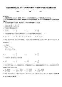 安徽省铜陵市义安区2023-2024学年数学八年级第一学期期末监测模拟试题含答案