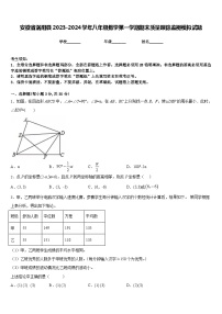 安徽省涡阳县2023-2024学年八年级数学第一学期期末质量跟踪监视模拟试题含答案