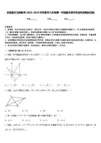 安徽省无为县联考2023-2024学年数学八年级第一学期期末教学质量检测模拟试题含答案