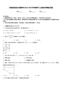 安徽省芜湖无为县联考2023-2024学年数学八上期末统考模拟试题含答案