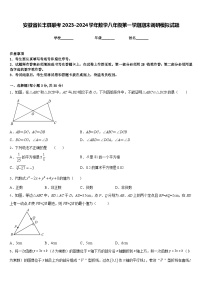 安徽省长丰县联考2023-2024学年数学八年级第一学期期末调研模拟试题含答案