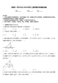 安阳市一中学2023-2024学年八上数学期末考试模拟试题含答案