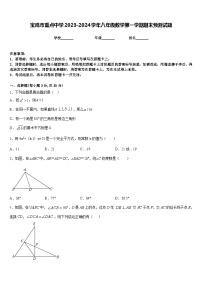 宝鸡市重点中学2023-2024学年八年级数学第一学期期末预测试题含答案