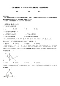 山东省利津县2023-2024学年八上数学期末检测模拟试题含答案