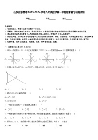 山东省东营市2023-2024学年八年级数学第一学期期末复习检测试题含答案