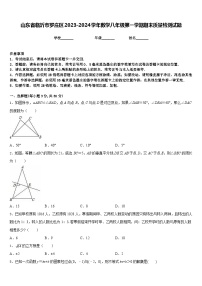 山东省临沂市罗庄区2023-2024学年数学八年级第一学期期末质量检测试题含答案