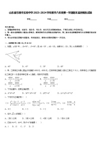 山东省乐陵市实验中学2023-2024学年数学八年级第一学期期末监测模拟试题含答案