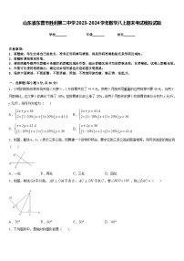 山东省东营市胜利第二中学2023-2024学年数学八上期末考试模拟试题含答案