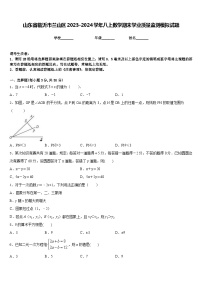 山东省临沂市兰山区2023-2024学年八上数学期末学业质量监测模拟试题含答案