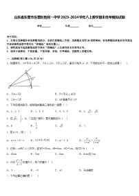 山东省东营市东营区胜利一中学2023-2024学年八上数学期末统考模拟试题含答案