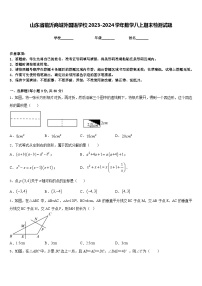 山东省临沂商城外国语学校2023-2024学年数学八上期末检测试题含答案