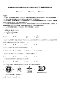 山东省临沂市经济开发区2023-2024学年数学八上期末综合测试试题含答案