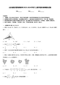 山东省临沂蒙阴县联考2023-2024学年八上数学期末调研模拟试题含答案