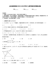 山东省滨州地区2023-2024学年八上数学期末统考模拟试题含答案