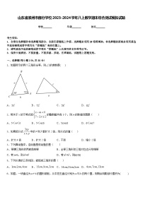 山东省滨州市部分学校2023-2024学年八上数学期末综合测试模拟试题含答案