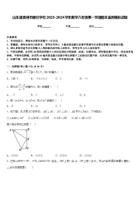 山东省滨州市部分学校2023-2024学年数学八年级第一学期期末监测模拟试题含答案