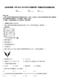 山东省曹县第一中学2023-2024学年八年级数学第一学期期末综合测试模拟试题含答案