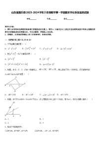 山东省昌乐县2023-2024学年八年级数学第一学期期末学业质量监测试题含答案