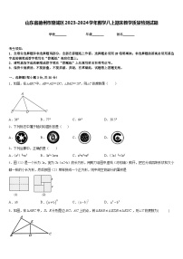 山东省德州市陵城区2023-2024学年数学八上期末教学质量检测试题含答案