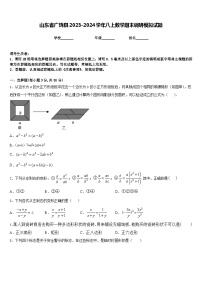 山东省广饶县2023-2024学年八上数学期末调研模拟试题含答案