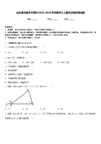 山东省济南市天桥区2023-2024学年数学八上期末达标检测试题含答案