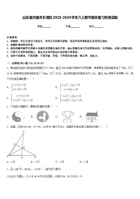 山东省济南市长清区2023-2024学年八上数学期末复习检测试题含答案