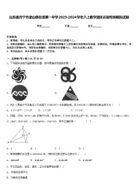 山东省济宁市梁山县街道第一中学2023-2024学年八上数学期末达标检测模拟试题含答案