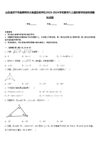 山东省济宁市曲阜师范大附属实验学校2023-2024学年数学八上期末教学质量检测模拟试题含答案