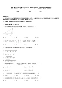 山东省济宁市曲阜一中2023-2024学年八上数学期末预测试题含答案