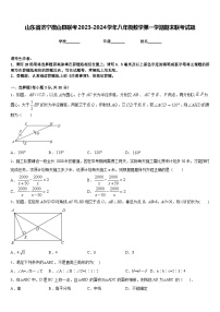 山东省济宁微山县联考2023-2024学年八年级数学第一学期期末联考试题含答案