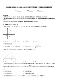 山东省泰安市泰山区2023-2024学年数学八年级第一学期期末考试模拟试题含答案