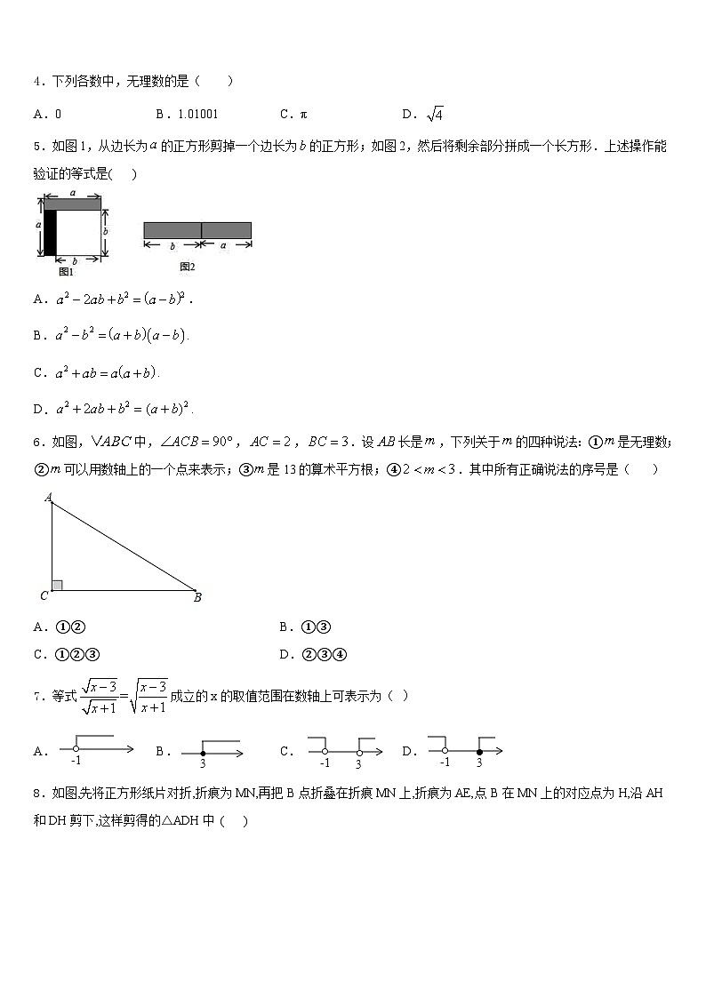 山东省枣庄树人中学2023-2024学年八年级数学第一学期期末综合测试试题含答案第2页